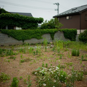 11 June 2014