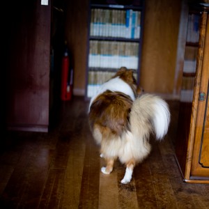 201101300240