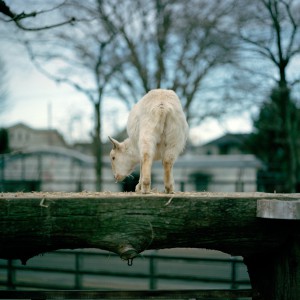 201102050202