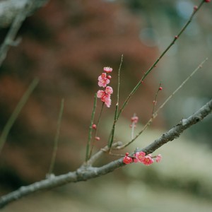 201102030129