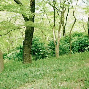 2011 0422 0146