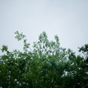 201105101446