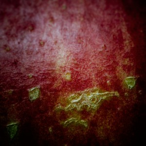 201105131459
