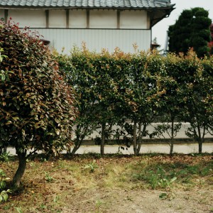 20110609034120