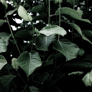 16 July 2012